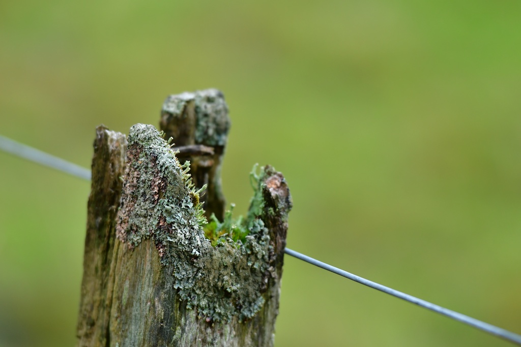 2018-11 Scotland/Foyers/DSC_7595.JPG